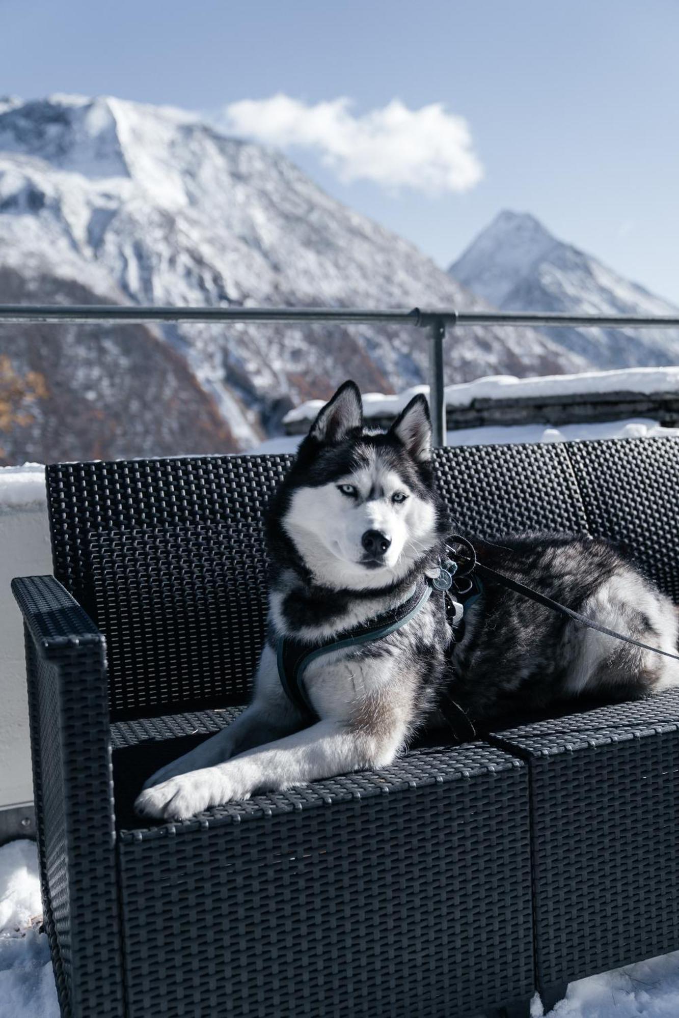 Waldhotel Fletschhorn Panoramic Retreat In Saas Fee Екстер'єр фото